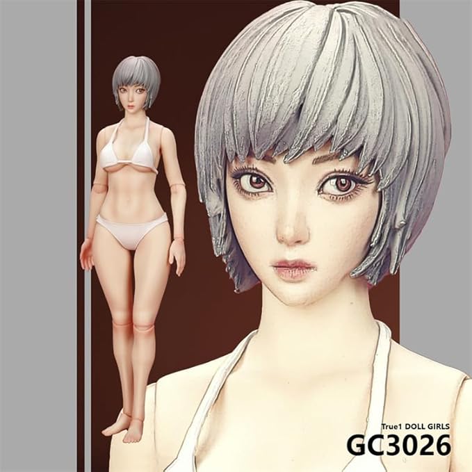 True1Toys: GC3026A Figura Femenina Articulada Escala 1:6