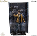 McFarlane Toys Harry Potter Harry con Animus